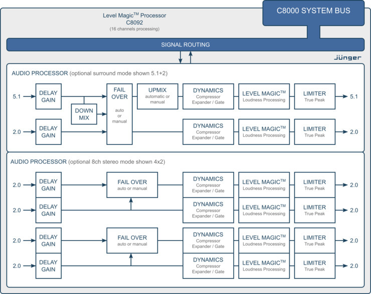 C8092 Processing Block Diagram